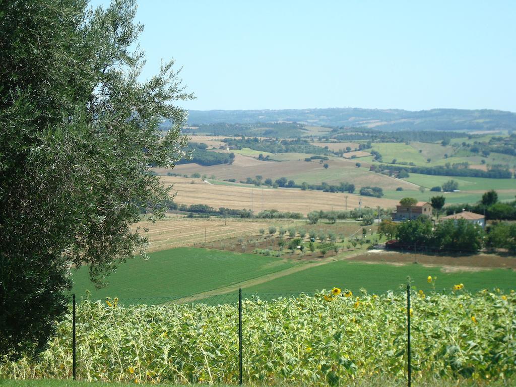 Podere Fontegallo Castiglione del Lago Exterior foto