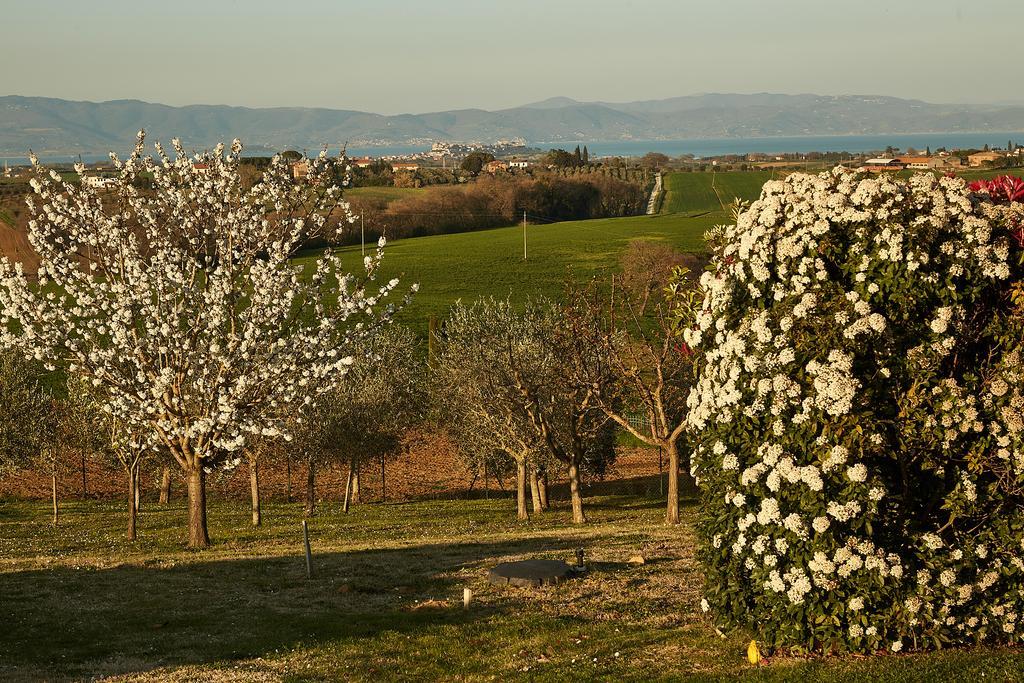 Podere Fontegallo Castiglione del Lago Exterior foto